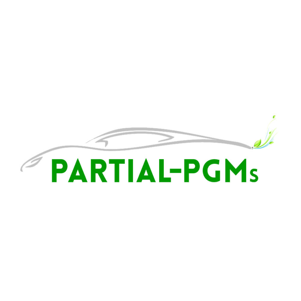 Logo Partial Pgms DEF Trasp.Png