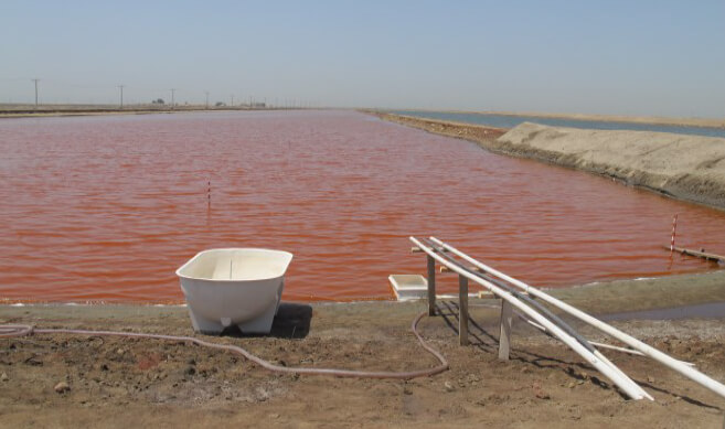 PRE CONCENTRATION OF ALGAE