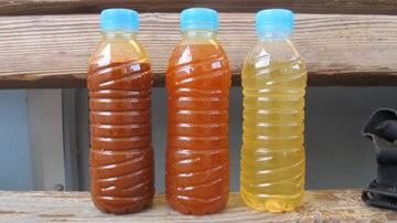 Algae Filtration Results