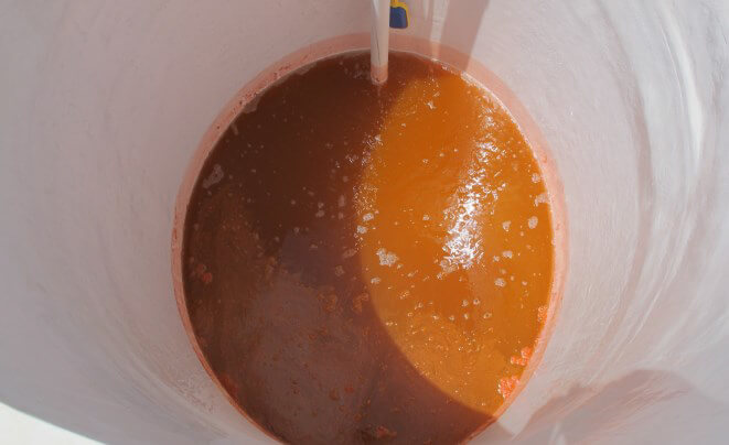 Feed Tank Dunaliella Algae